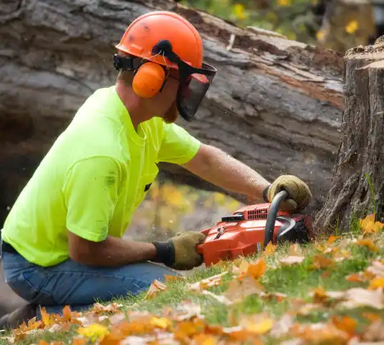 tree services East Rockaway